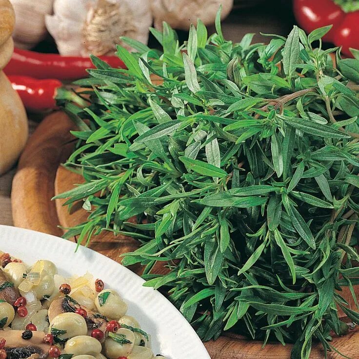 Растение для мяса фото и названия Summer Savory seeds Summer savory, Savory herb, Culinary herbs