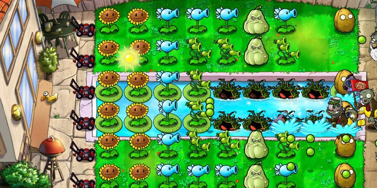 Растение игра как выглядит Plants vs zombies rus