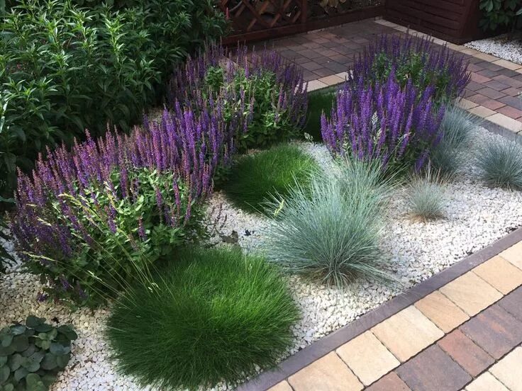 Растение используемое в ландшафтном дизайне Zdjęcie użytkownika Ewa Szumowska. Small front gardens, Front yard garden, Outdo