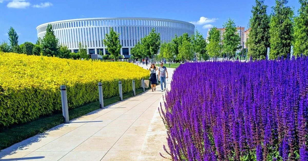 Растение краснодар фото Экскурсия "Эксклюзивные сокровища парка Галицкого", Краснодар - 2 отзыва, цена 5