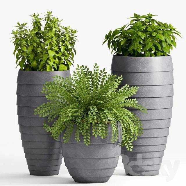 Растение в горшке фото Plant Set -25 Jardinería en macetas, Macetas de concreto, Ideas de maceta