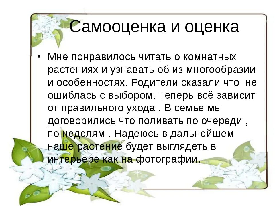 Растение в интерьере жилого дома проблемная ситуация Проект растения жилого дома