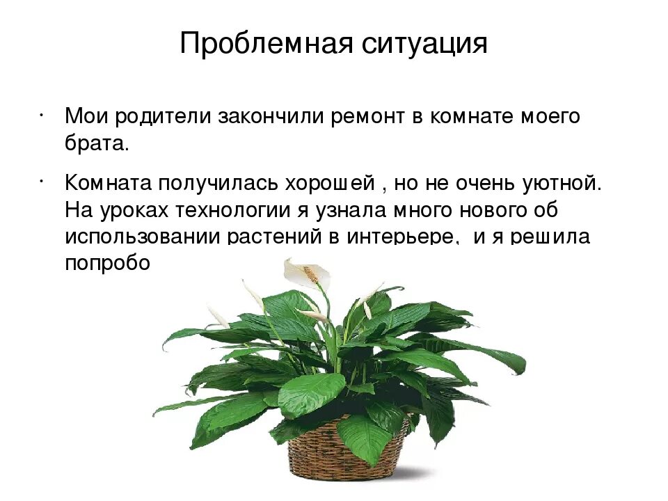 Растение в интерьере жилого дома проблемная ситуация Проект растения в жилом доме