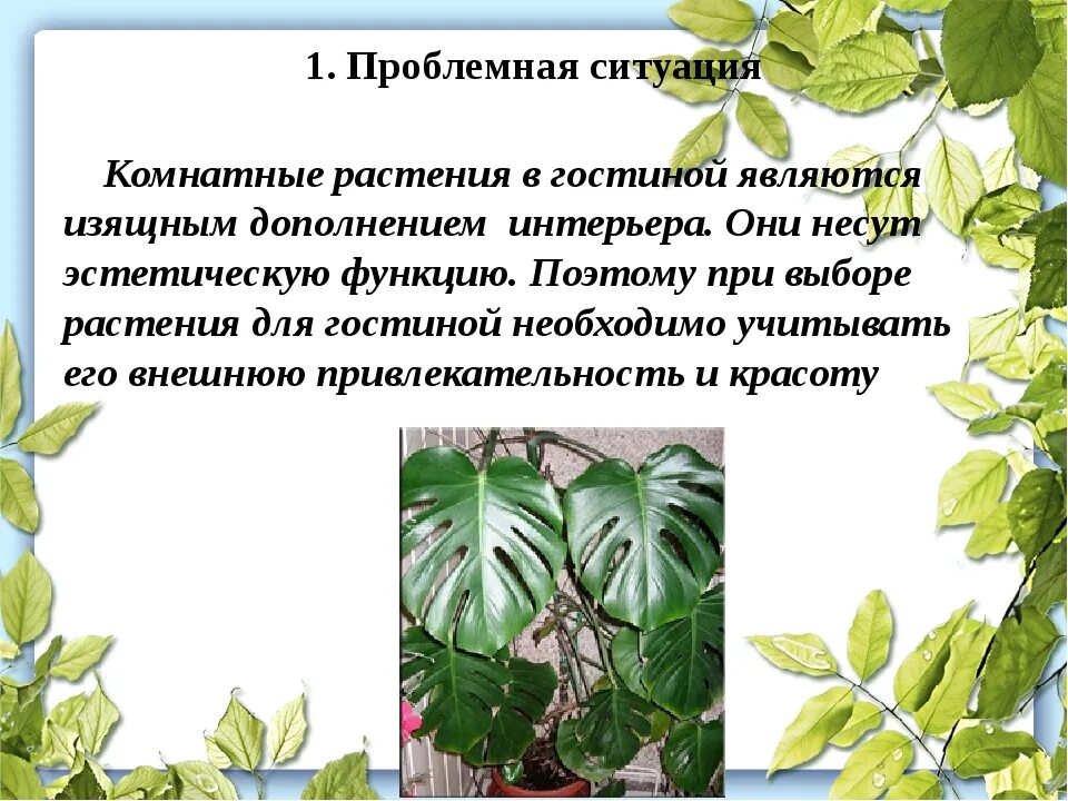 Растение в интерьере жилого дома проблемная ситуация Проект комнатные растения в интерьере: Проект по технологии "Комнатные растения 