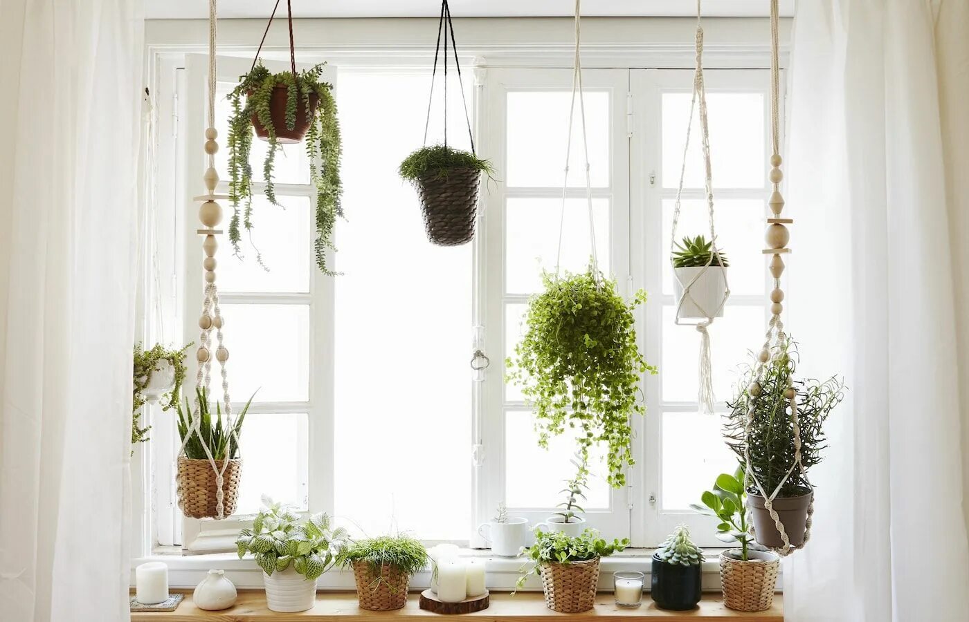 Растения для декора дома Home Ideas & Inspiration Macetas colgantes, Ventanas de jardín, Plantas grandes 