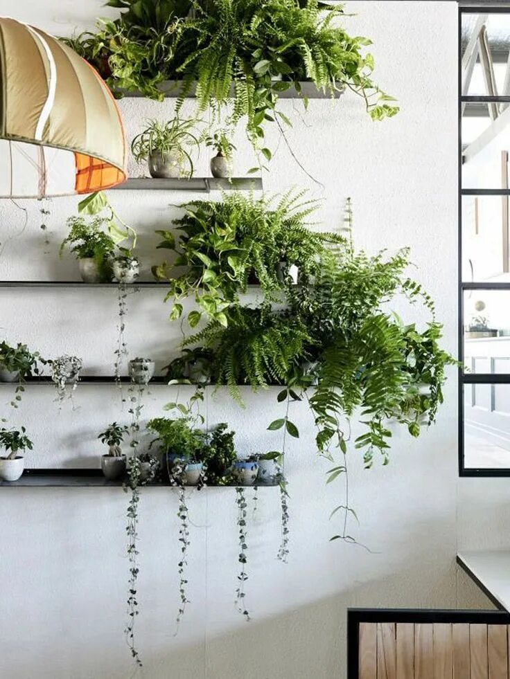 Растения для декора дома How to Decorate Your Interior with Green Indoor Plants and Save Money 壁 掛 け グ リ-