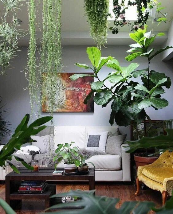 Растения для интерьера москва Great Indoor Garden Ideas Living room plants, Indoor garden rooms, Room with pla