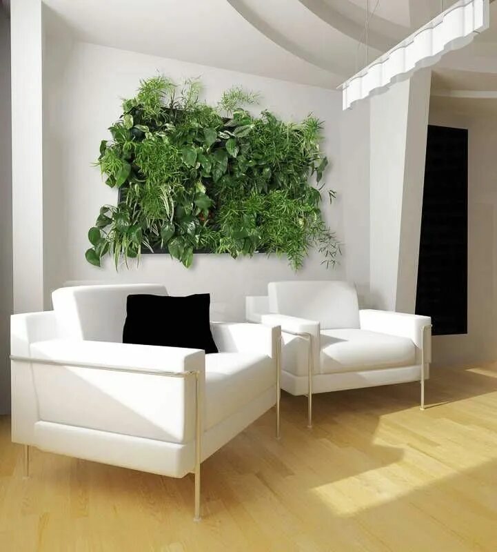 Растения для квартиры фото Картинки по запросу зелень в интерьере Vertical garden indoor, Living wall indoo