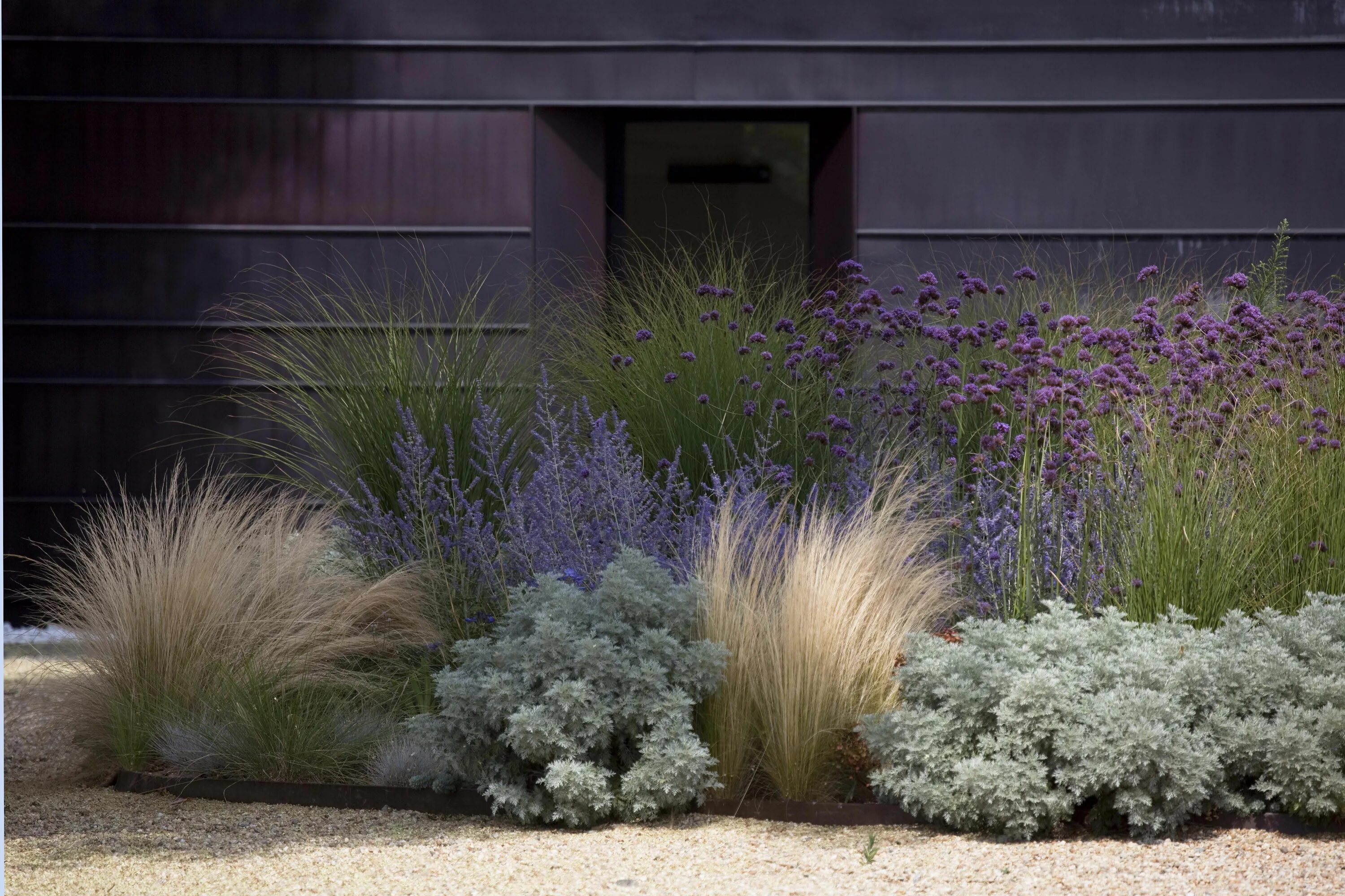 Растения для ландшафтного дизайна фото и названия Relais nell’astigiano, love it Drought tolerant garden, Garden design, Grasses g