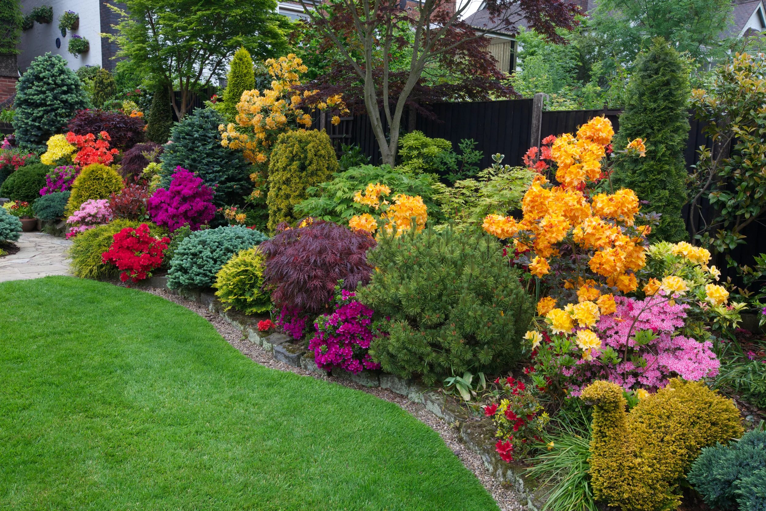 Растения для сада многолетники фото Фото Англия Walsall Garden Природа Сады Газон кустов 2500x1667