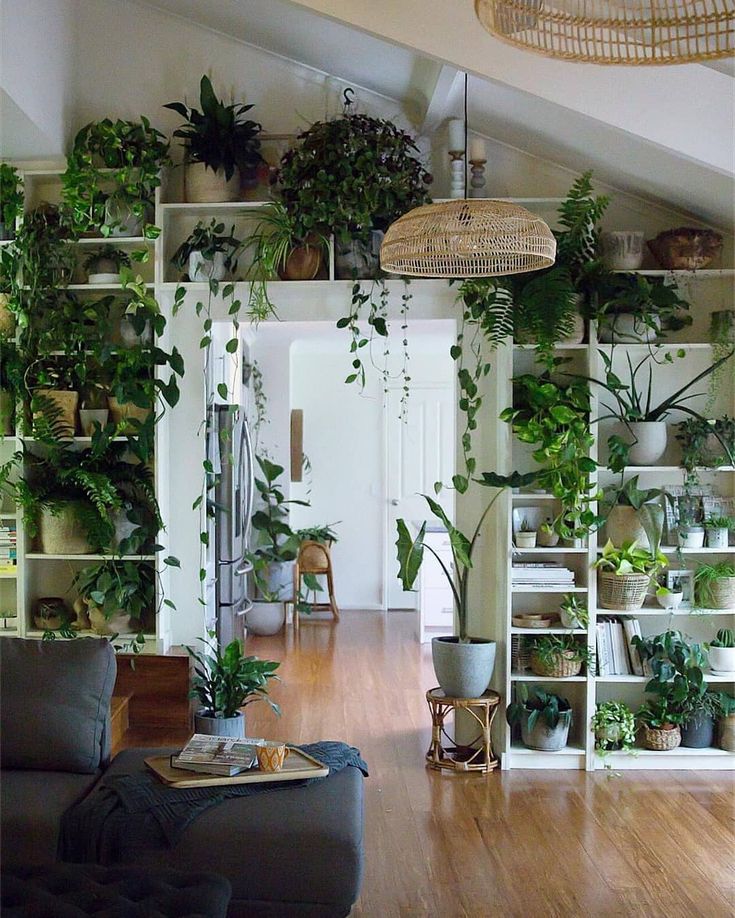 Растения и цветы в интерьере That room filled with plants looks so wonderful! Who wants to live here? Credit 