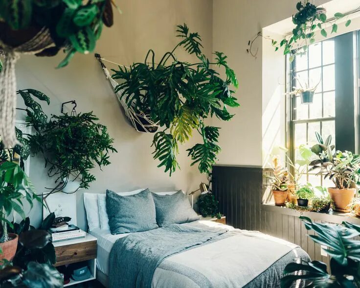 Растения и цветы в интерьере urbanjungle: Plant-filled loft - Forever moving forward Bedroom decorating tips,