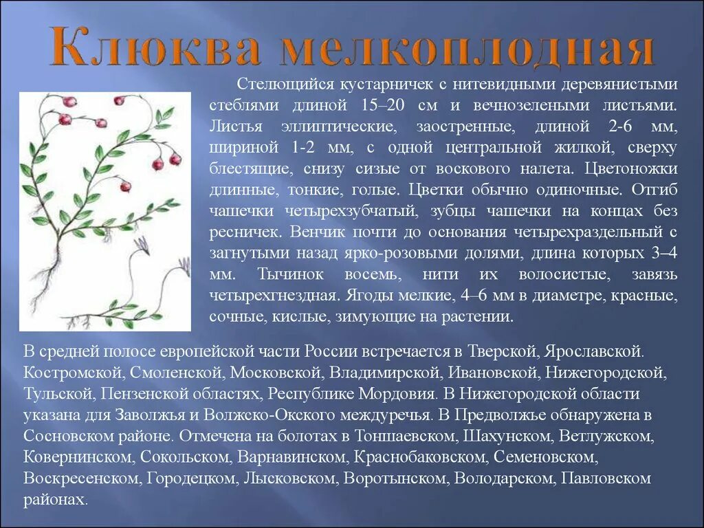 Растения красной книги нижегородской области фото Растения занесенные в красную книгу нижегородской области - Вопросы и ответы