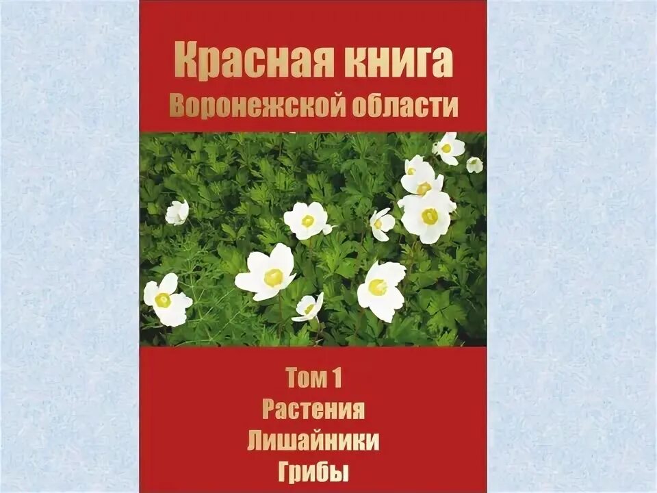 Растения красной книги воронежской области фото Первоцветы Воронежской области ( презентация)