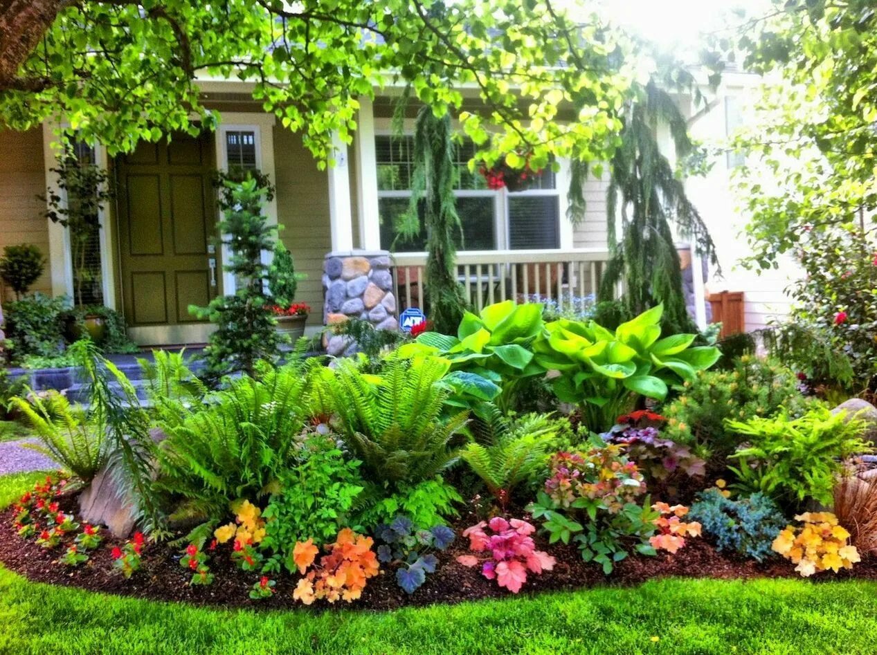 Растения на дачном участке фото Floral and plant landscape Small front yard landscaping, Shade garden design, Fr