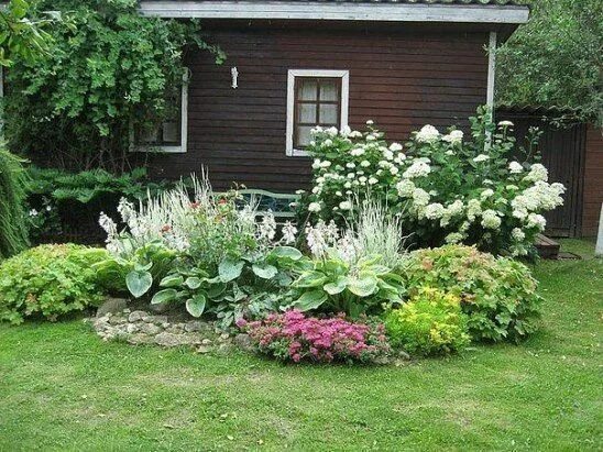 Растения на дачном участке фото Идеи для дачи Beautiful gardens, Garden yard ideas, Garden design