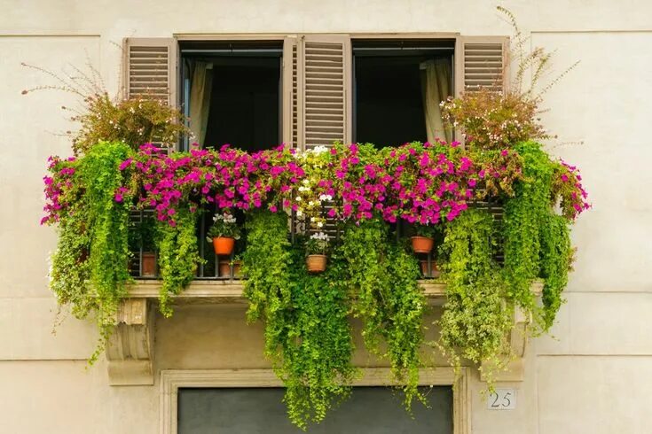 Растения на улице фото 13 mini jardines urbanos para darle armonía a tu balcón Urban garden, Balcony pl