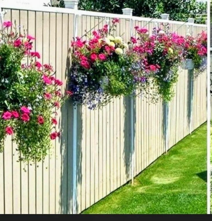 Растения на заборе фото Pin by Cheri Crank on Cottage dream Cottage garden design, Privacy fence landsca