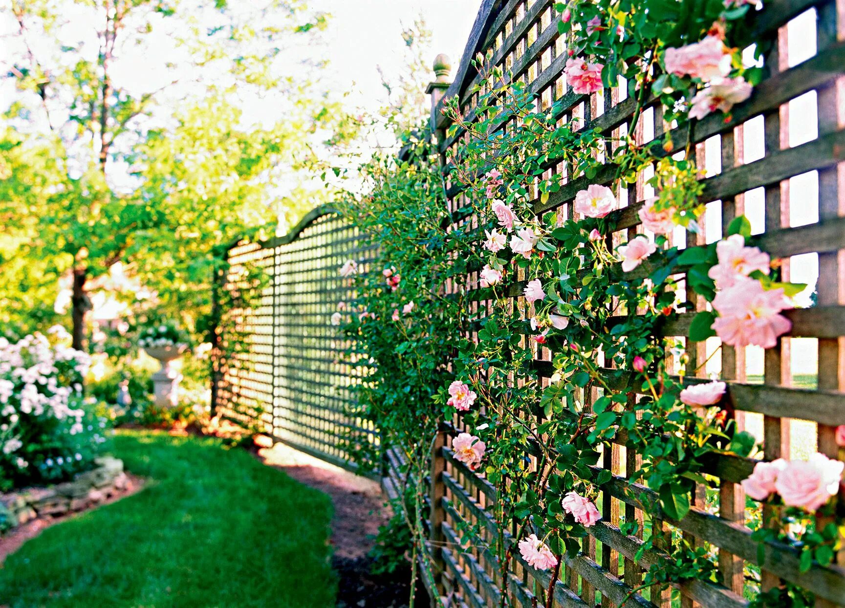 Растения на заборе фото Our Favorite Decorative Fence Ideas