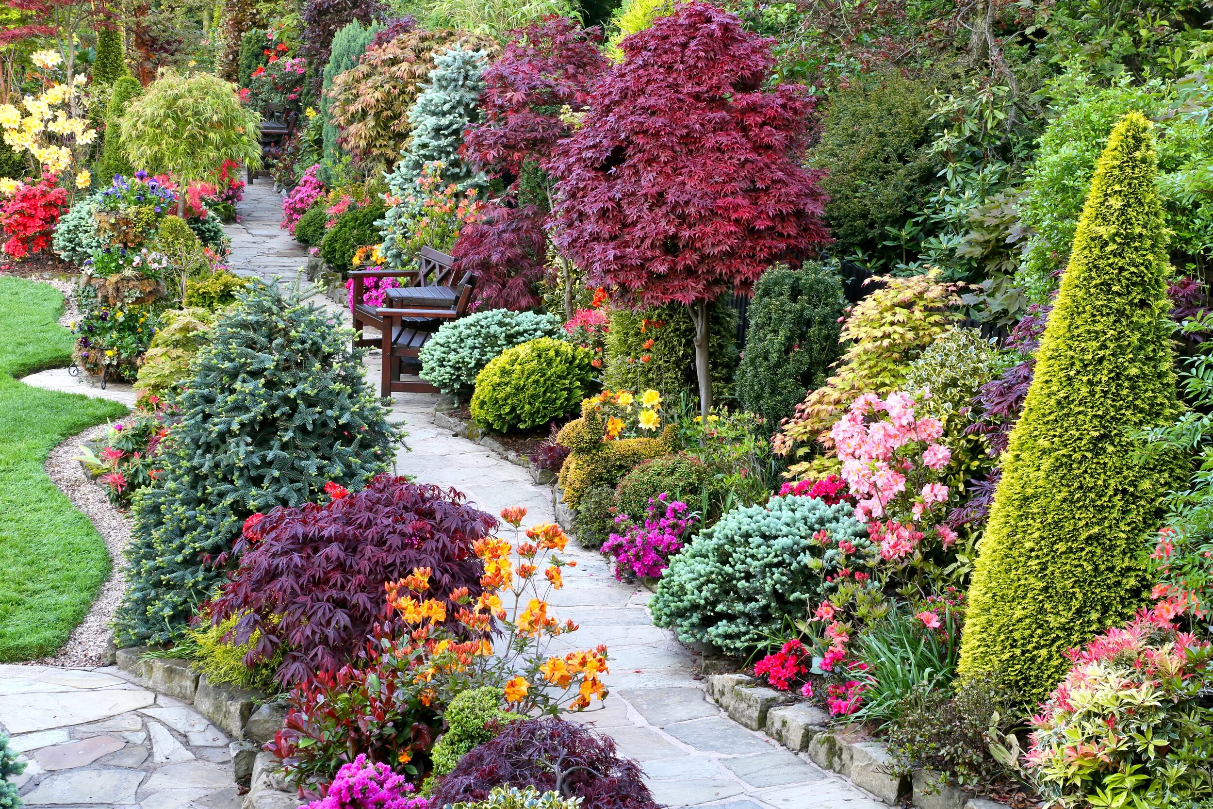 Растения с декоративной листвой для сада фото rp_Gardens_Shrubs_Trail_436320.jpg - Садоводство и Огородничество