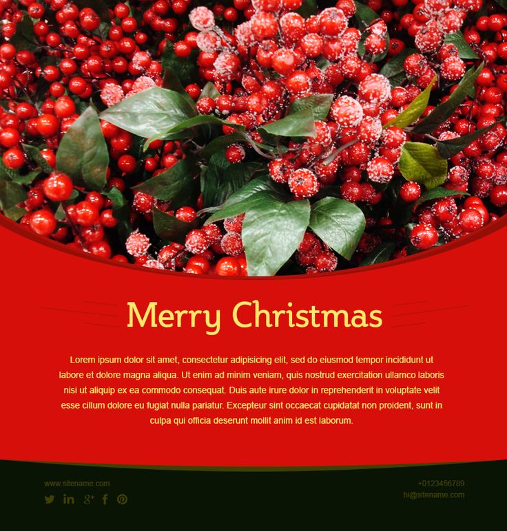 Растения с красными ягодами фото Christmas Template www.emercury.net #merrychristmastemplate #christmastemplatesa