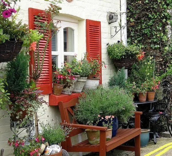 Растения у дома во дворе фото quaint windows images - Google Search Cottage garden, Red shutters, Apartment ga