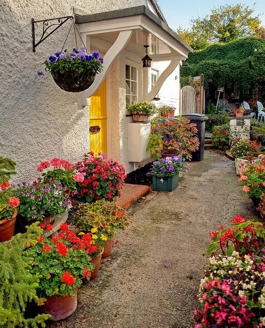 Растения у дома во дворе фото Encore! Life Idee giardino fiorito, Idee decorazioni giardino, Giardini di casa