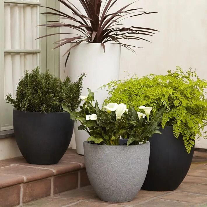 Растения в горшках фото и названия 10 Easy Pieces: Lightweight Planters: Gardenista Outdoor planter designs, Modern