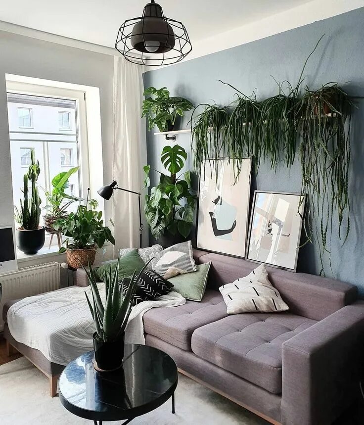 Растения в гостиной интерьер The Sill on Instagram: "Now that's what we call a living room. Plant inspo via @