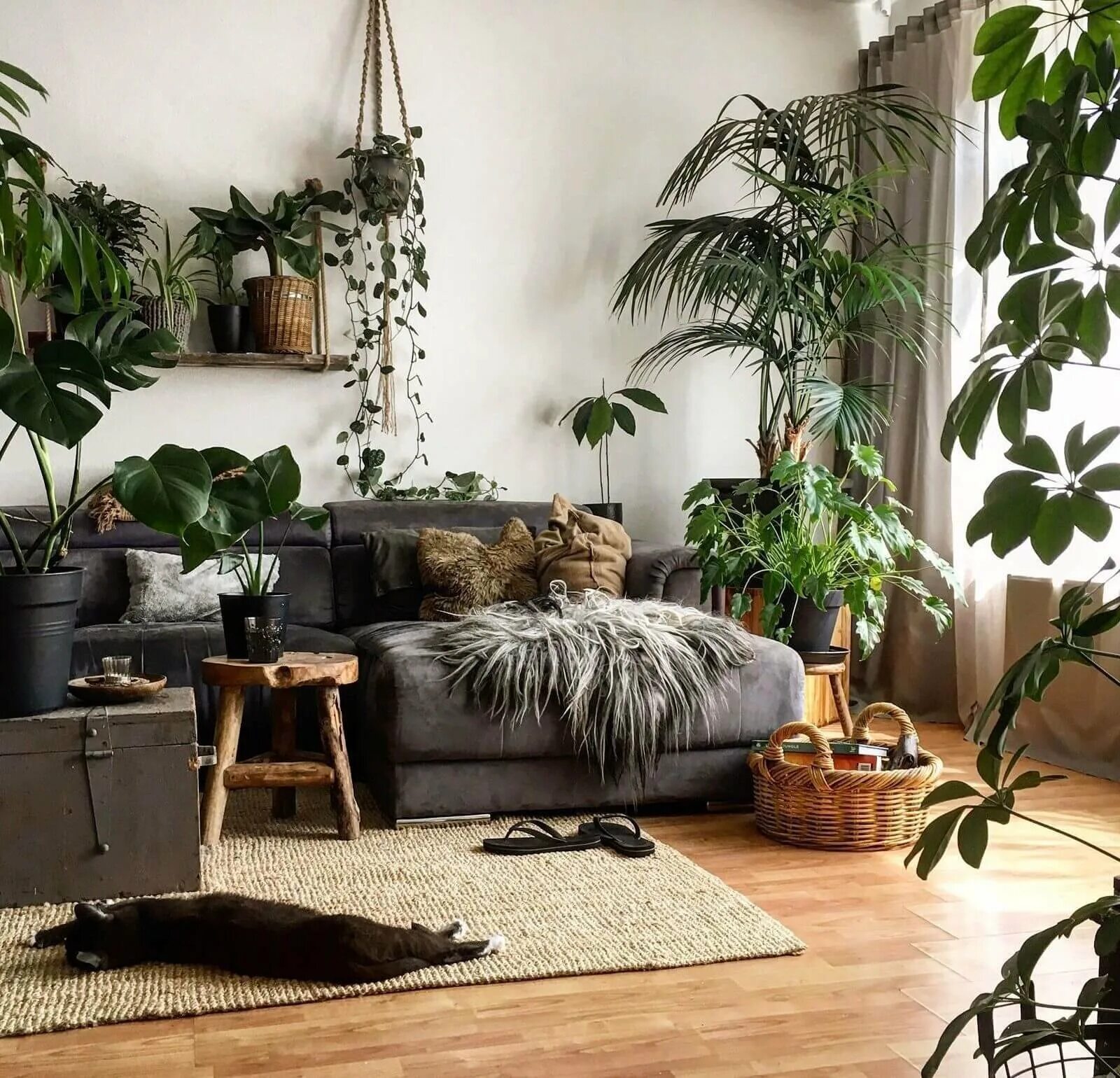 Растения в интерьере дома Interior Decor Plants - 72 photo