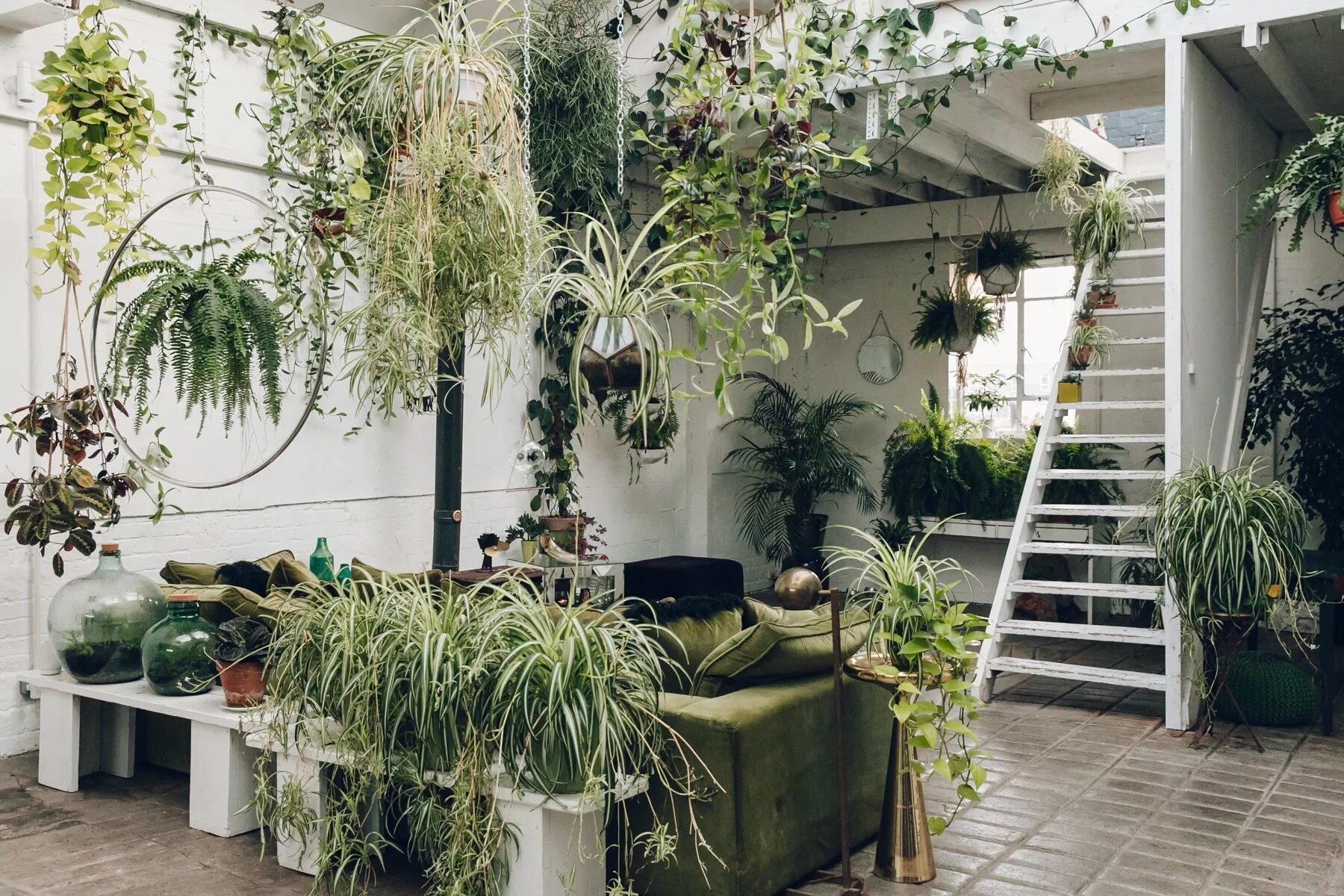 Растения в интерьере фото Inside Clapton Tram - Haarkon House plants indoor, Indoor plants, Green interior