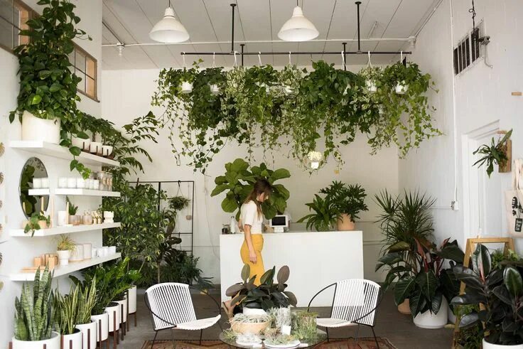 Растения в интерьере фото 24 Plant Shops that Will Attract Any Plant Lover - Dalla Vita Plant nursery, Pla