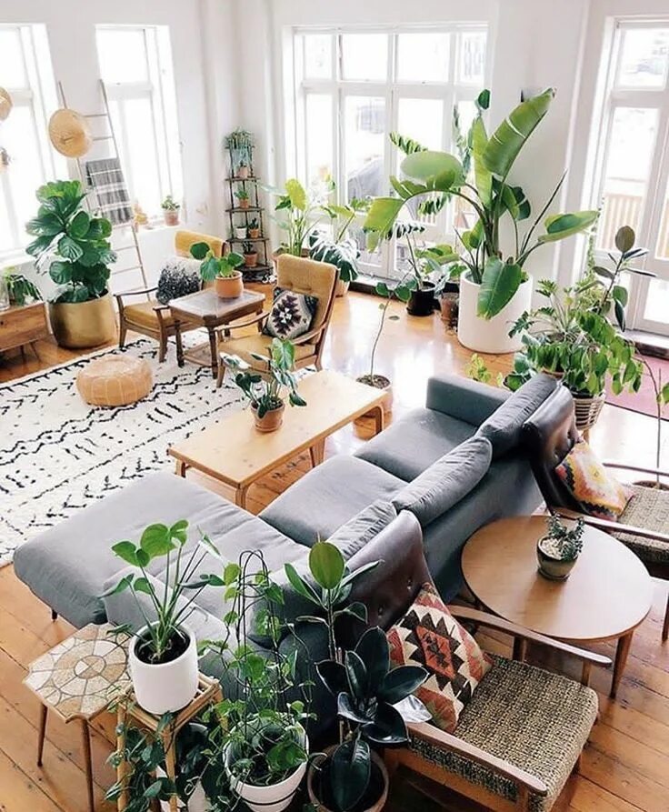 Растения в интерьере гостиной Pin by s.m.d. on interior design Living room scandinavian, Living room plants, S