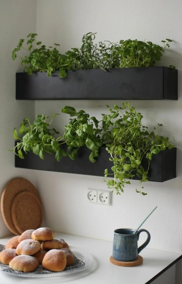 Растения в интерьере кухни WallBOX for herbs in the kitchen. WallBOX til krydderurter i køkkenet. Herb gard