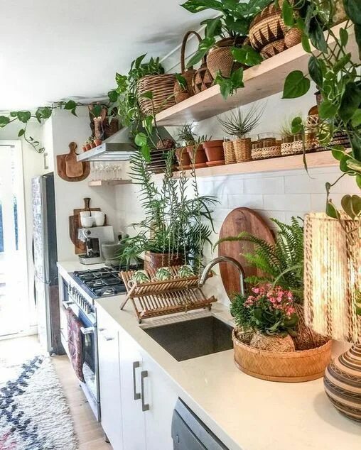 Растения в интерьере кухни Plantas en la cocina: Ideas para decorar la cocina con plantas - Mil Ideas de De