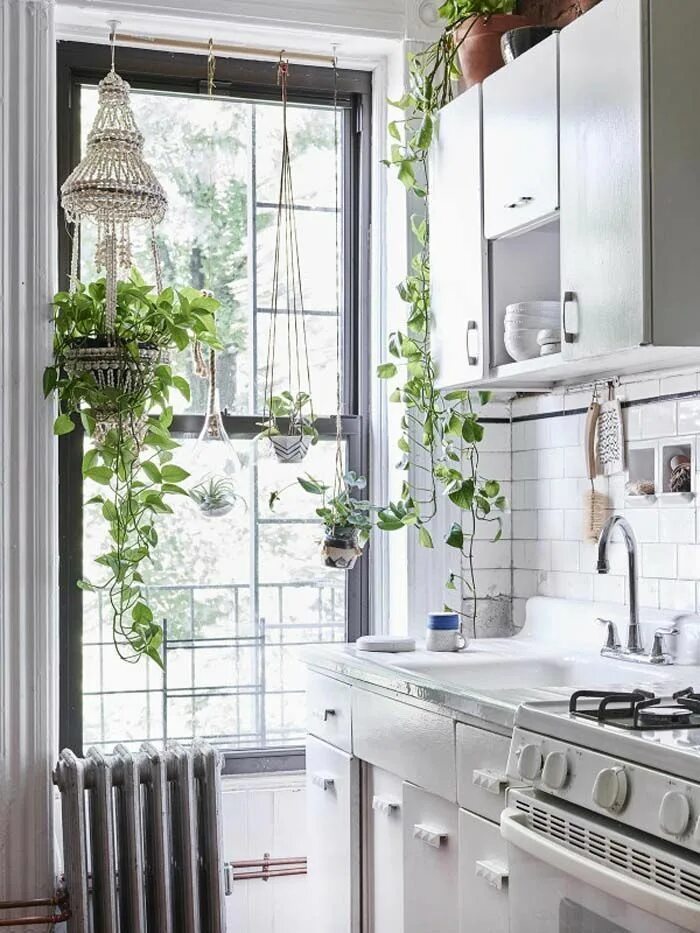 Растения в интерьере кухни Top 10 Best White Bright Kitchen Design Ideas - The white color is one of the be