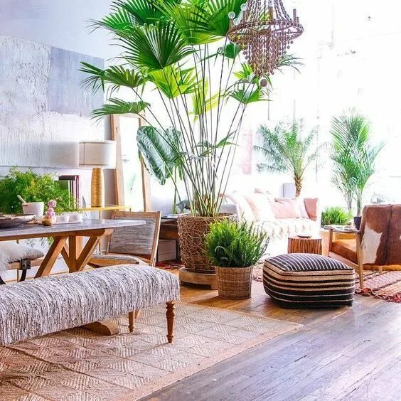 7 ways to create a lush oasis with houseplants Living room plants, Living room p