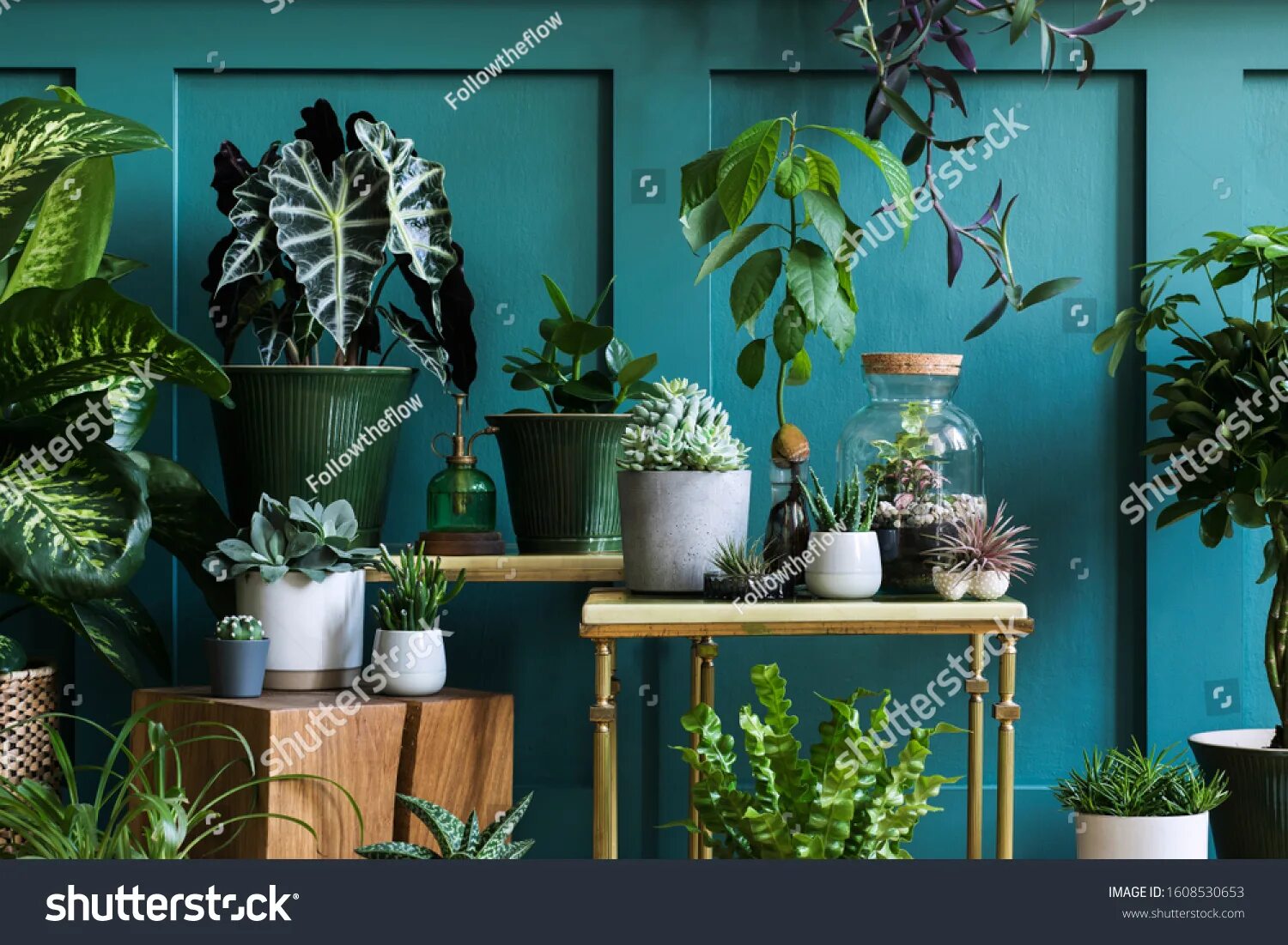 Растения в интерьере квартиры фото 894.629 Plant interior decoration Gambar, Foto Stok & Vektor Shutterstock