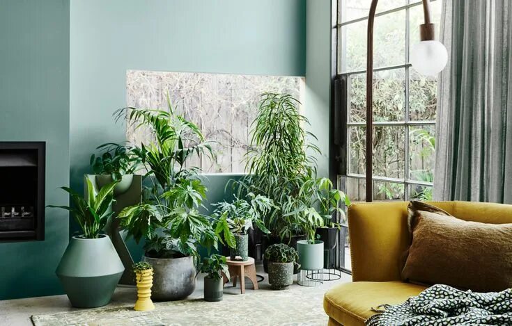 Растения в интерьере квартиры реальные фото The 2020 Dulux Colour Forecast Is Revealed! Yellow living room, Living room gree