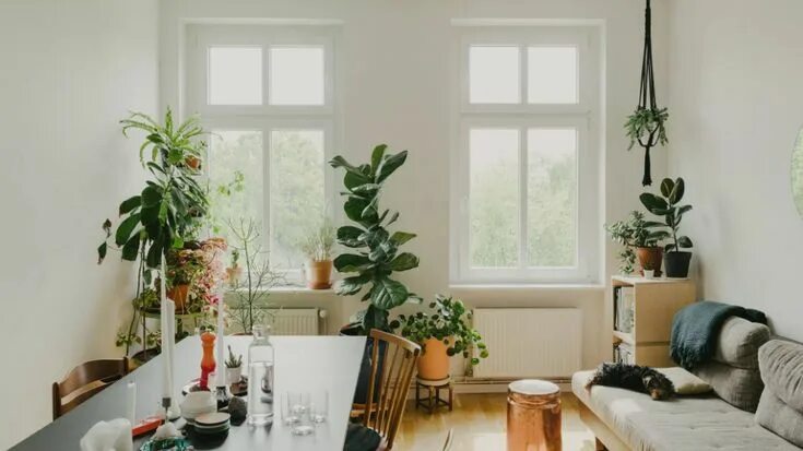 Растения в интерьере квартиры реальные фото Plant life, indoors and out, anchors a creative couple’s Berlin home Living room