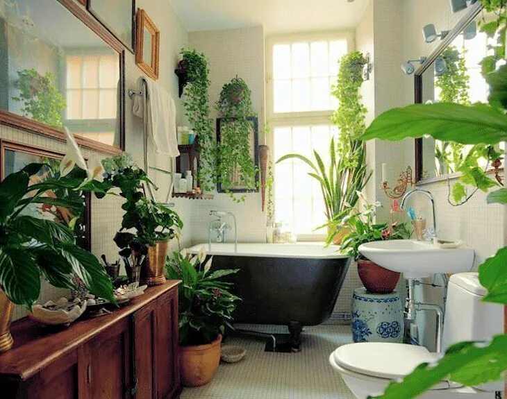 Растения в интерьере ванной Cuarto de baño con gran variedad de plantas de interior Wohnen, Badezimmer gesta