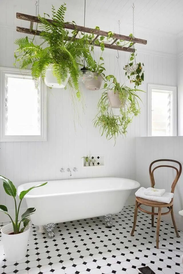 Растения в интерьере ванной Scandinavian bathroom with clawfoot bathtub and hanging plants #bathroomplants S