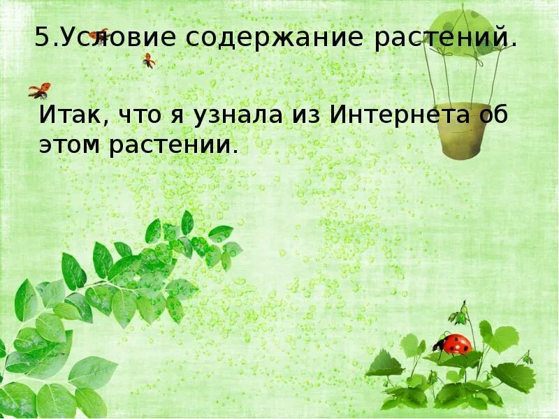 Растения в интерьере жилого дома 6 класс Комнатные растения в интерьере жилого дома презентация - Какаду Декор.ру