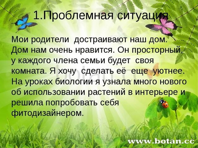 Растения в интерьере жилого дома 6 класс Растения в интерьере дома проект фото EcoDM.ru