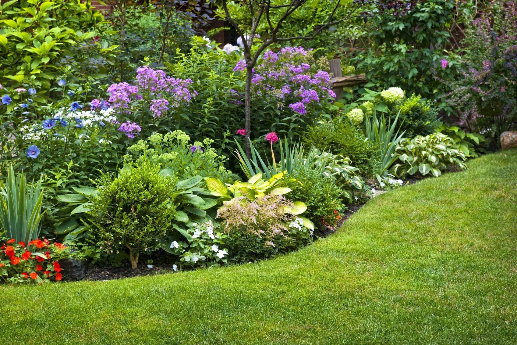 Растения в ландшафтном дизайне сада Zone 6 Growing Tips: What Are The Best Plants For Zone 6 Garden planning, Colorf