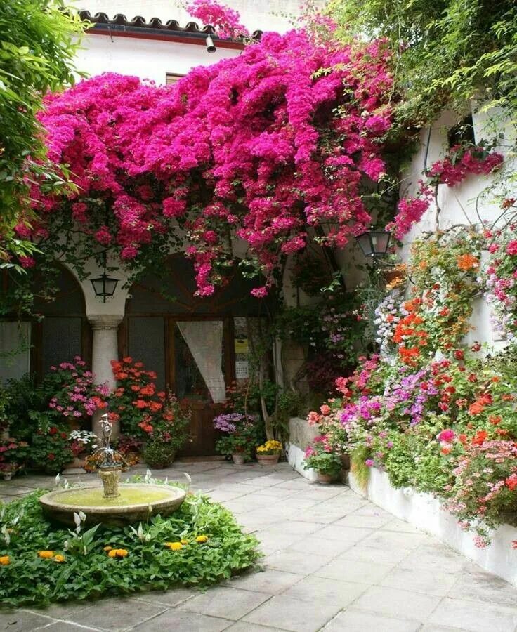 Растения во дворе дома фото и названия Stunning! Beautiful flowers garden, Flower garden design, Beautiful gardens