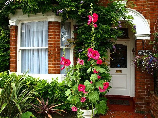 Растения во дворе дома фото и названия Garden - beautiful entry via Photo: Richard Maguire! Front garden, Dream garden,