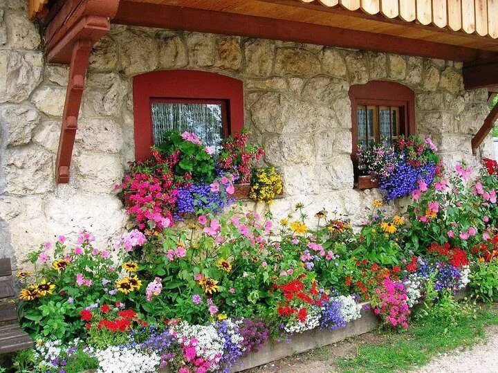 Растения во дворе дома фото и названия Floral Art Innovations: Window Box Dream garden, Cottage garden, Flower garden d