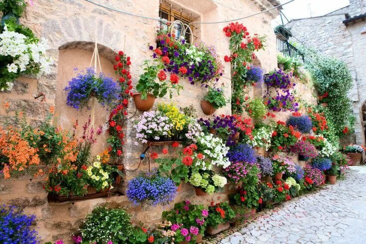 Растения во дворе фото Here is a spectacular display of several hanging flower baskets and flower plann