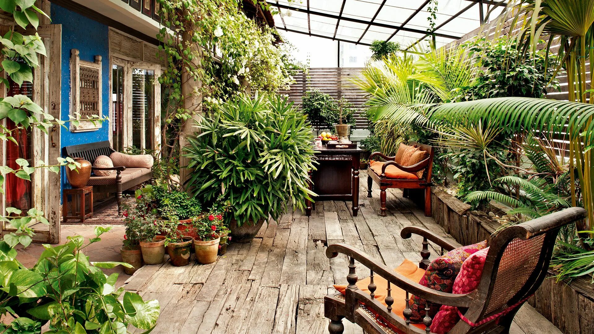 Растения зимнего сада фото Kolkata Adobe Terrace garden ideas, Indian garden, Terrace garden